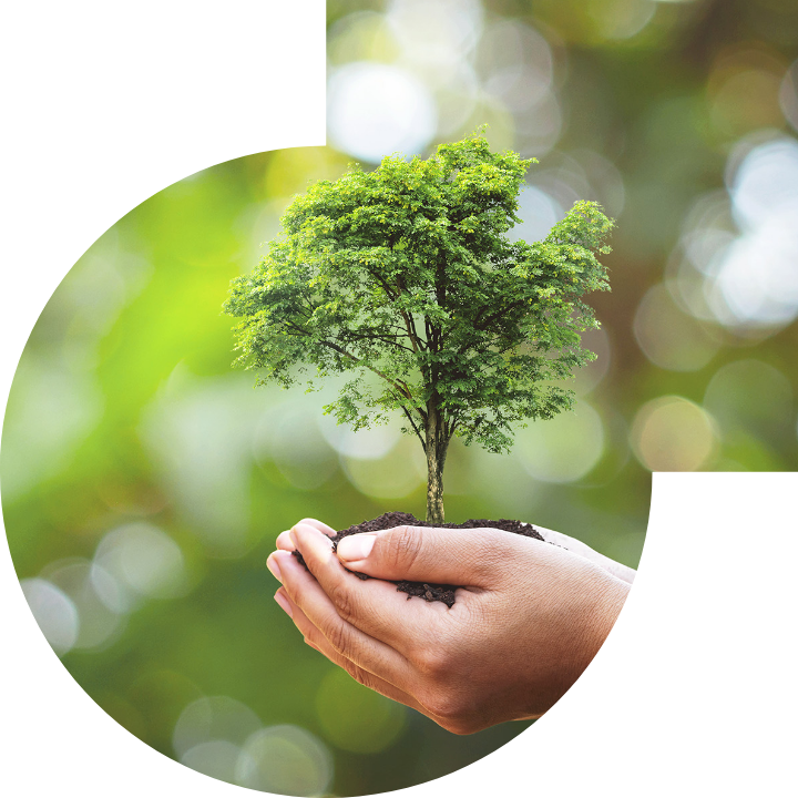 關懷人類、文化、環境與社會